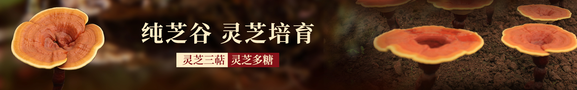 熱搜關鍵詞 熱搜關鍵詞